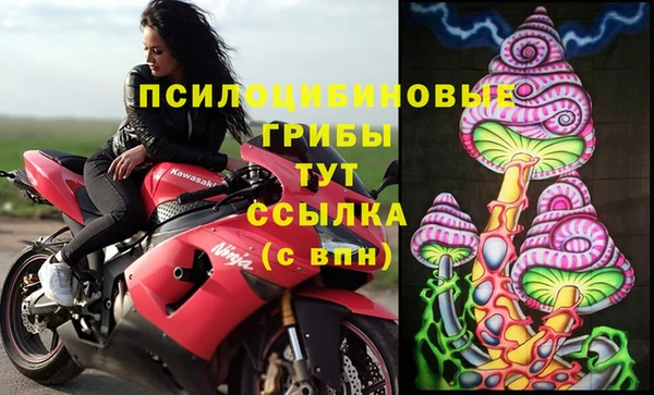 стаф Абдулино