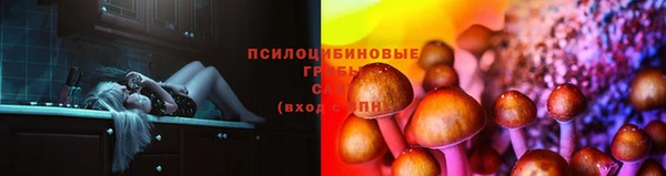 спиды Абинск