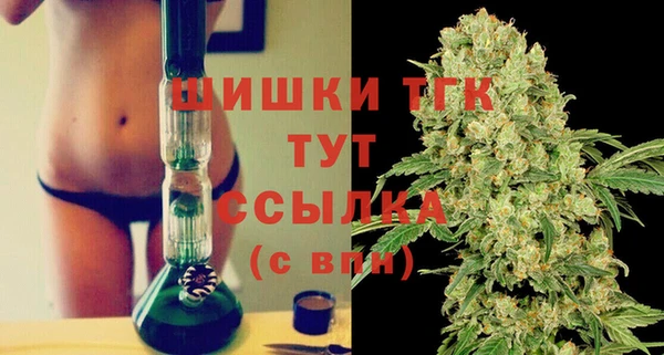 стаф Абдулино