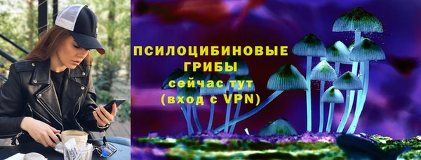 PSILOCYBIN Абаза