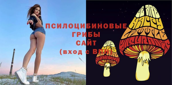 стаф Абдулино