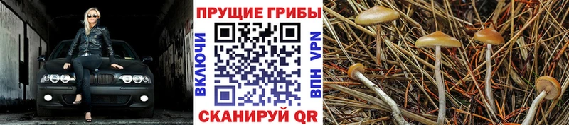 Псилоцибиновые грибы ЛСД  где купить наркотик  Нижневартовск 